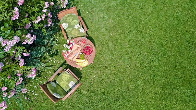 decorated-table-with-bread-strawberry-fruits-beautiful-summer-rose-garden-aerial-top-view-romantic-date-table-food-setting-two-from_800x449